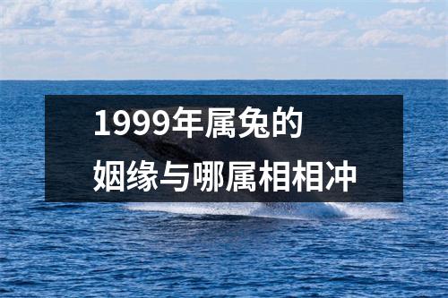 1999年属兔的姻缘与哪属相相冲