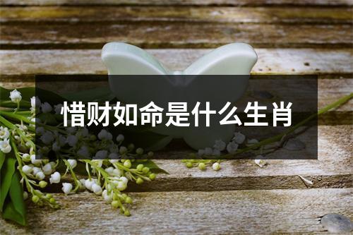 惜财如命是什么生肖