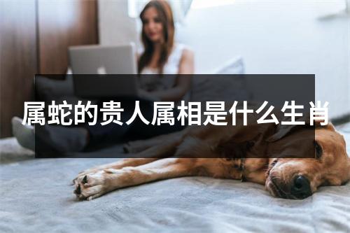 属蛇的贵人属相是什么生肖