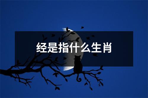 经是指什么生肖