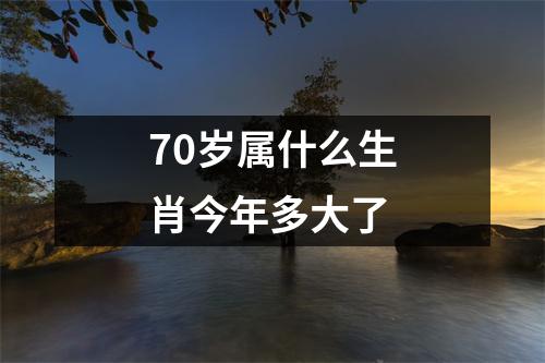 70岁属什么生肖今年多大了