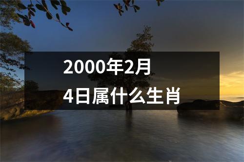 2000年2月4日属什么生肖