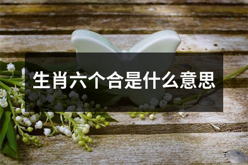 生肖六个合是什么意思