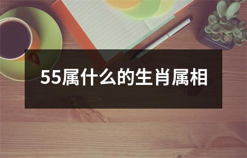 55属什么的生肖属相