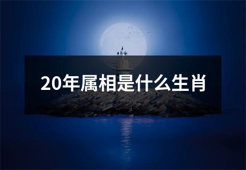 20年属相是什么生肖