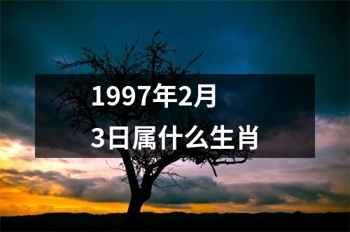 1997年2月3日属什么生肖