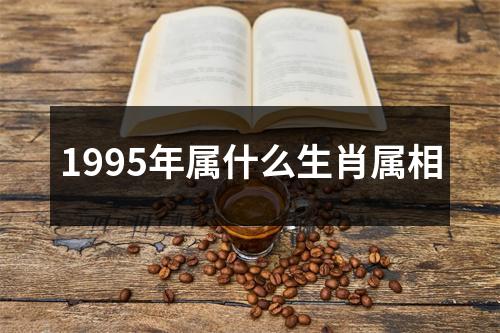 1995年属什么生肖属相