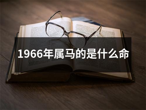 1966年属马的是什么命