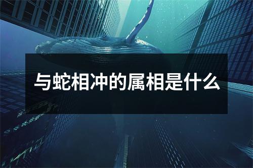 与蛇相冲的属相是什么