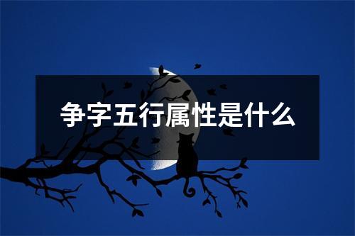 争字五行属性是什么