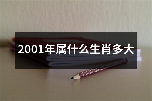 2001年属什么生肖多大