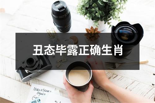 丑态毕露正确生肖