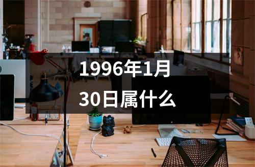 1996年1月30日属什么