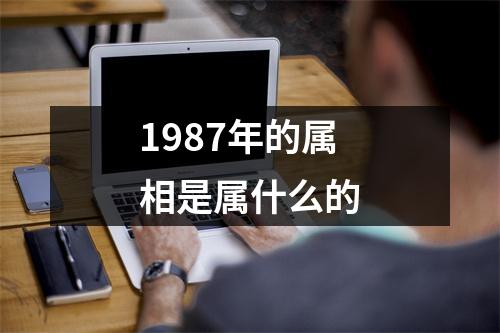 1987年的属相是属什么的