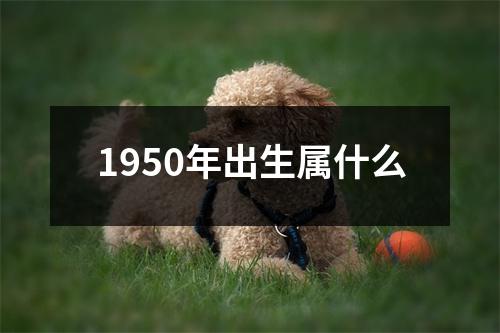 1950年出生属什么