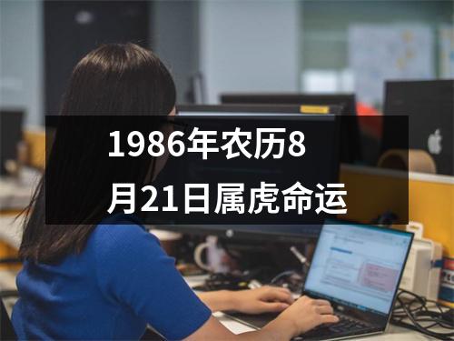 1986年农历8月21日属虎命运