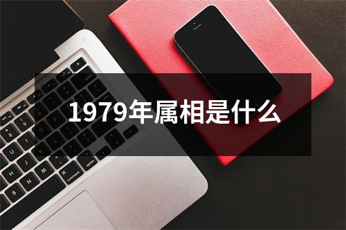 1979年属相是什么