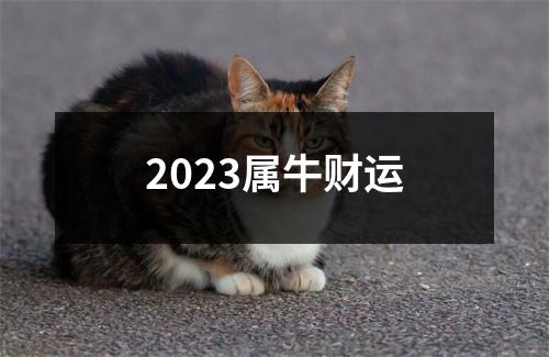 2023属牛财运