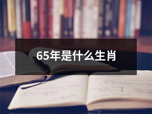 65年是什么生肖