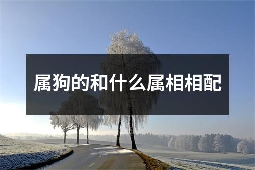 属狗的和什么属相相配