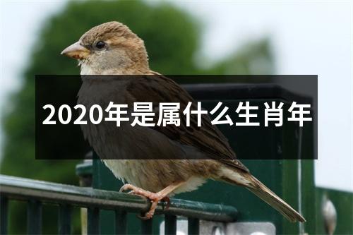 2020年是属什么生肖年