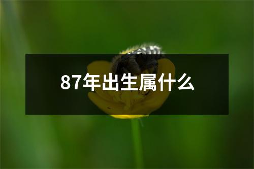 87年出生属什么