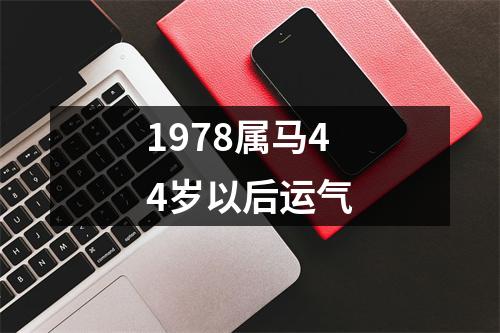 1978属马44岁以后运气