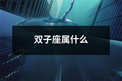 双子座属什么