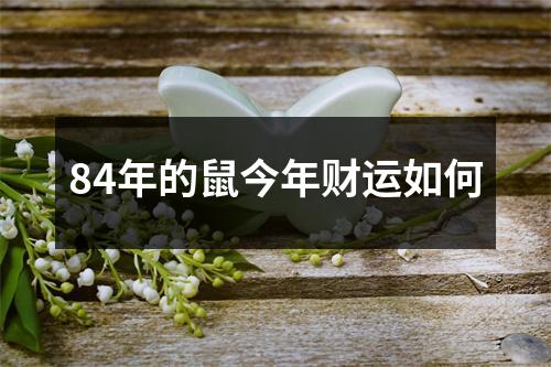 84年的鼠今年财运如何