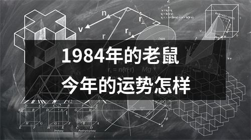 1984年的老鼠今年的运势怎样