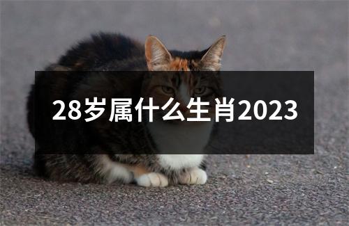 28岁属什么生肖2023