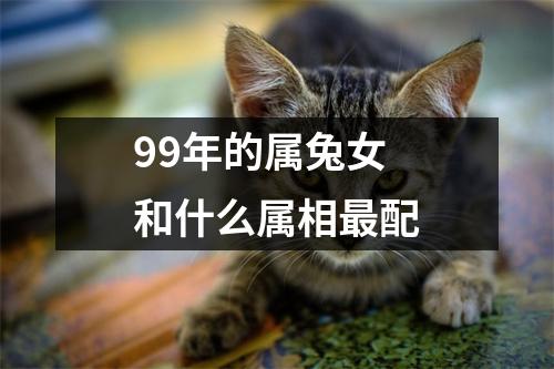 99年的属兔女和什么属相最配