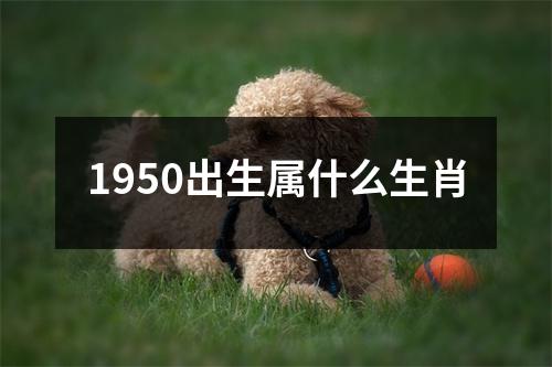 1950出生属什么生肖