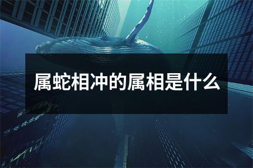 属蛇相冲的属相是什么