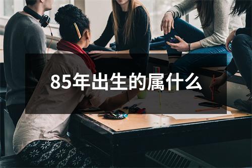 85年出生的属什么