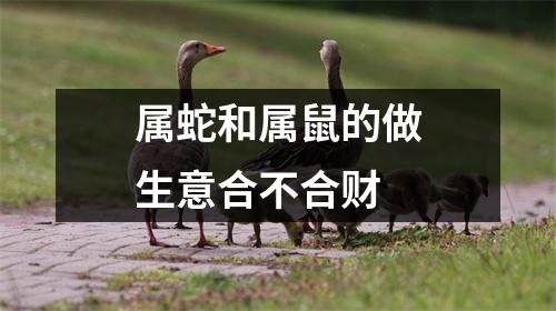 属蛇和属鼠的做生意合不合财