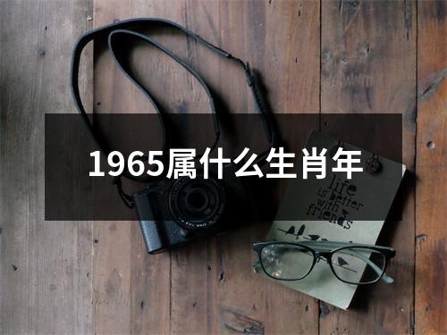 1965属什么生肖年