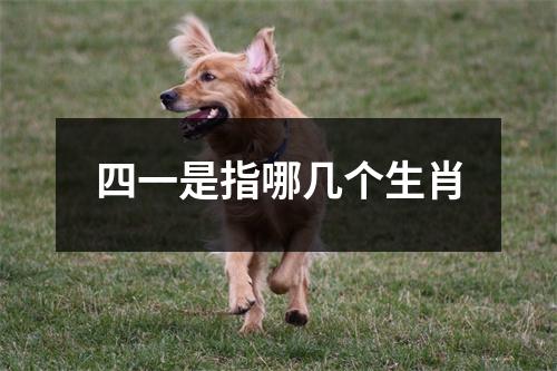 四一是指哪几个生肖