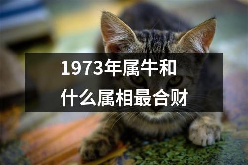 1973年属牛和什么属相最合财