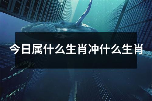 今日属什么生肖冲什么生肖