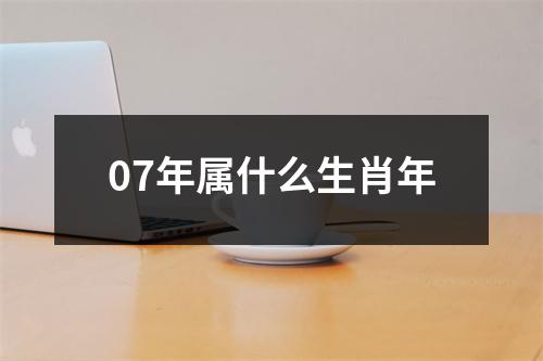 07年属什么生肖年