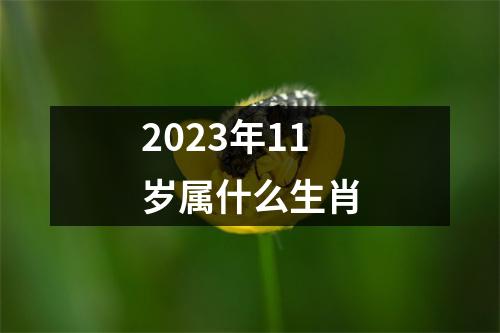 2023年11岁属什么生肖