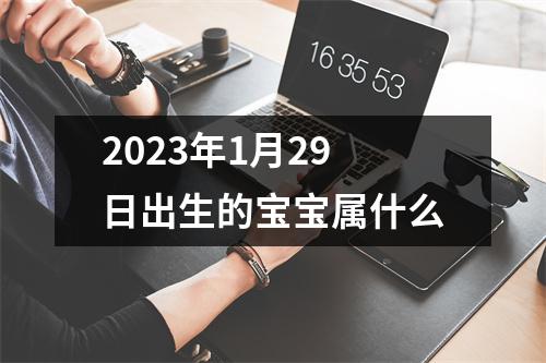 2023年1月29日出生的宝宝属什么