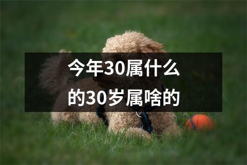 今年30属什么的30岁属啥的