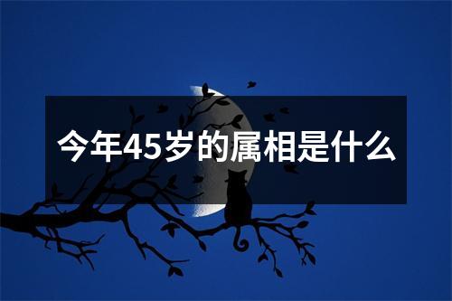 今年45岁的属相是什么