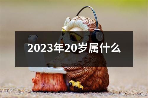 2023年20岁属什么