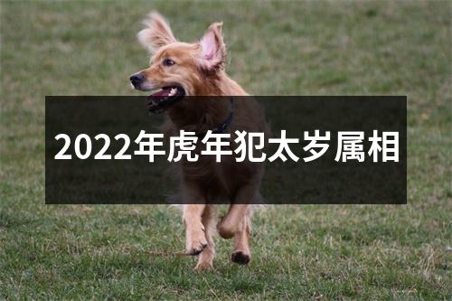 2022年虎年犯太岁属相