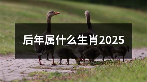 后年属什么生肖2025