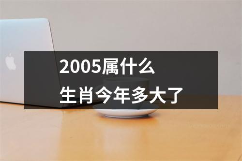 2005属什么生肖今年多大了