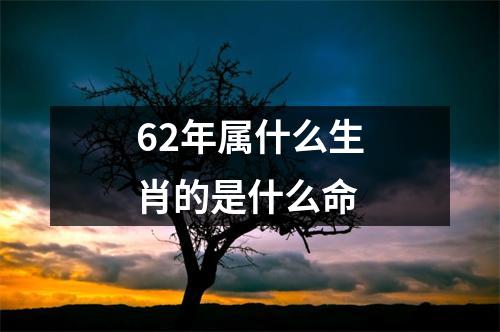 62年属什么生肖的是什么命